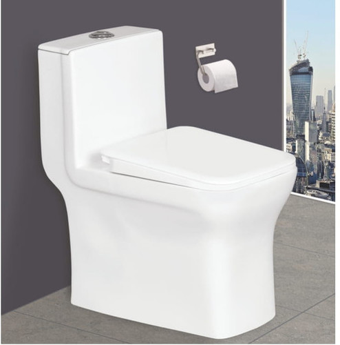 Western One Piece Toilet